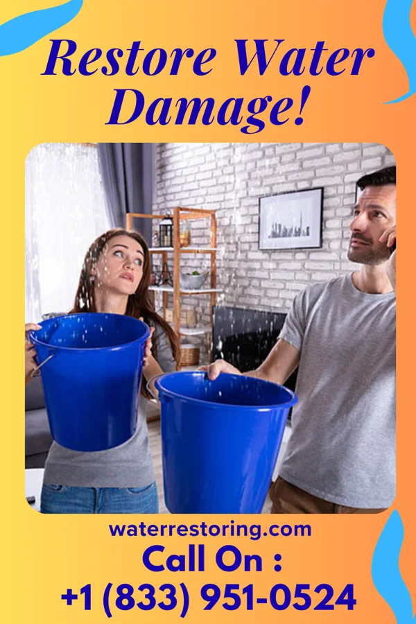 water restoration Apex Cleanup Inc Houma