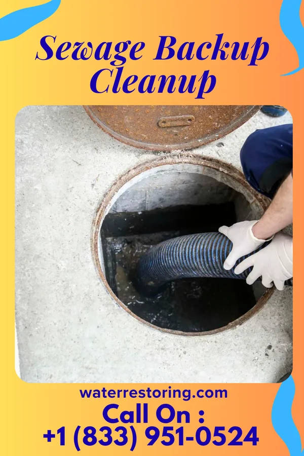 Sewage Backup Cleanup in Houma, LA